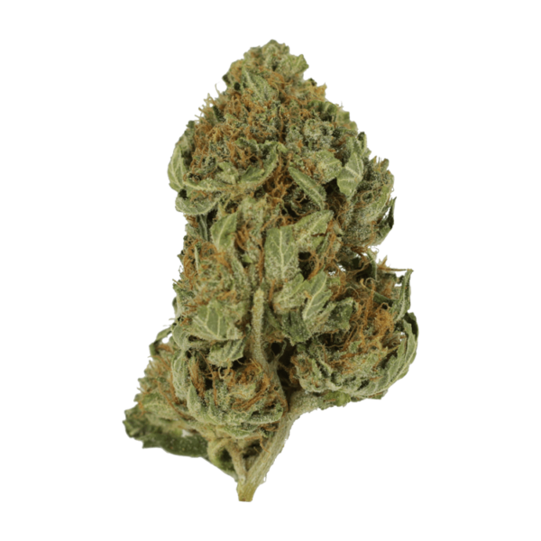 Bubblegum – 1 ounce | Herbal Dispatch Canada