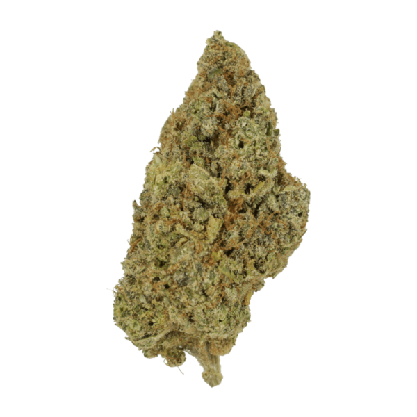 Grape Mimosa | Herbal Dispatch Canada