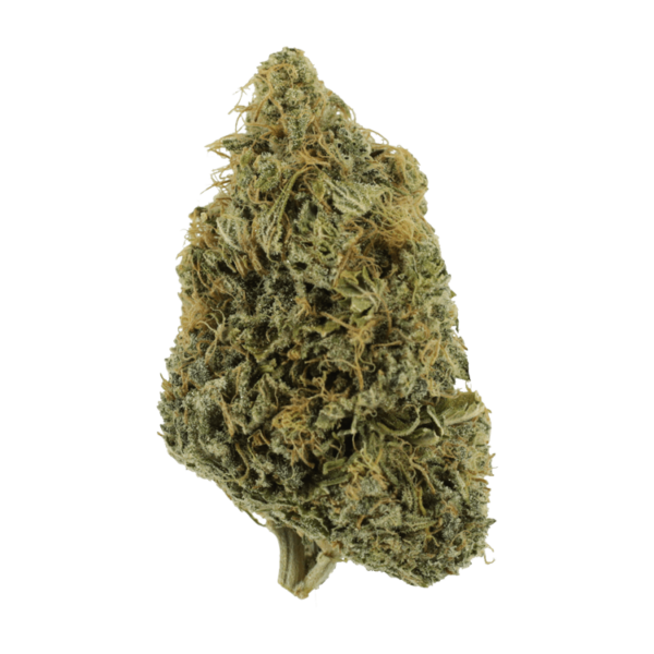 NYC Diesel | Herbal Dispatch Canada