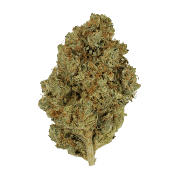 Nepalese | Herbal Dispatch Canada