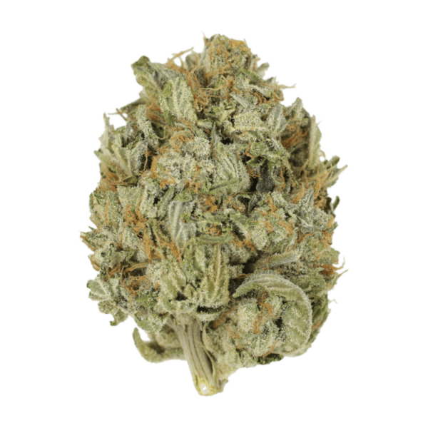 Blue Dream (Popcorn) | Herbal Dispatch Canada