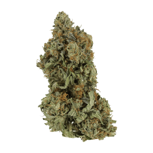 Bruce Banner #3 | Herbal Dispatch Canada