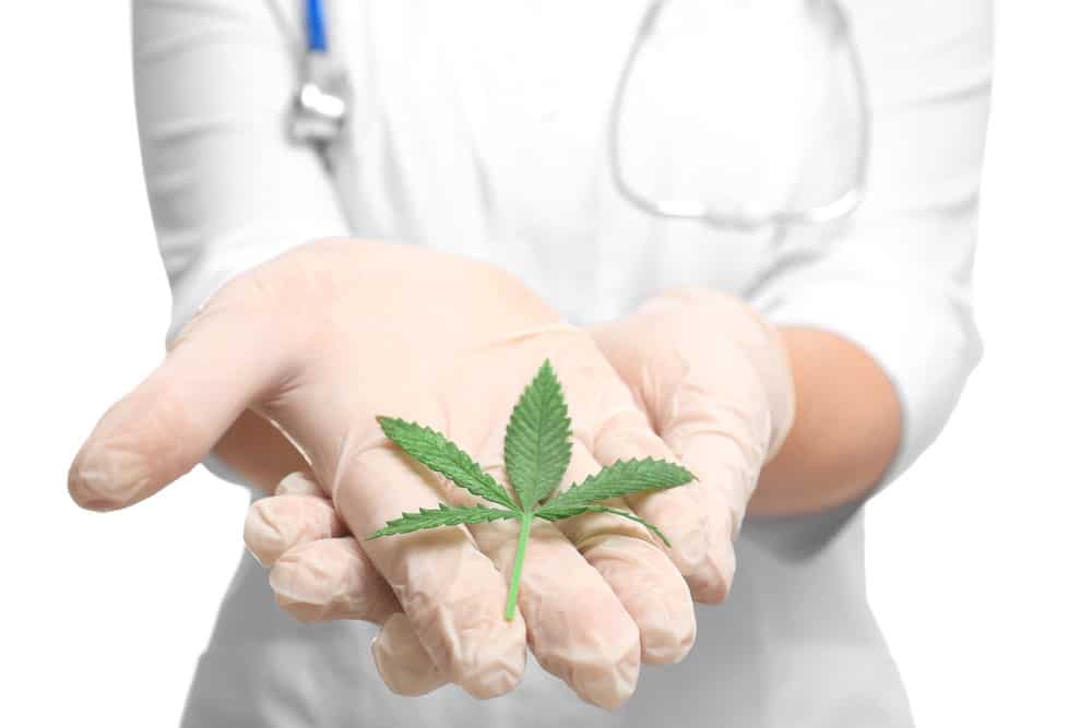 Cannabis as a natural cure for pain | Herbal Dispatch Canada