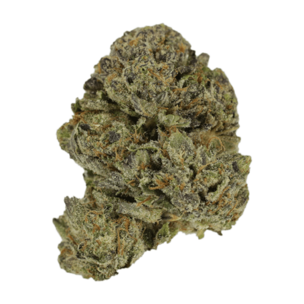 Lavender | Herbal Dispatch Canada
