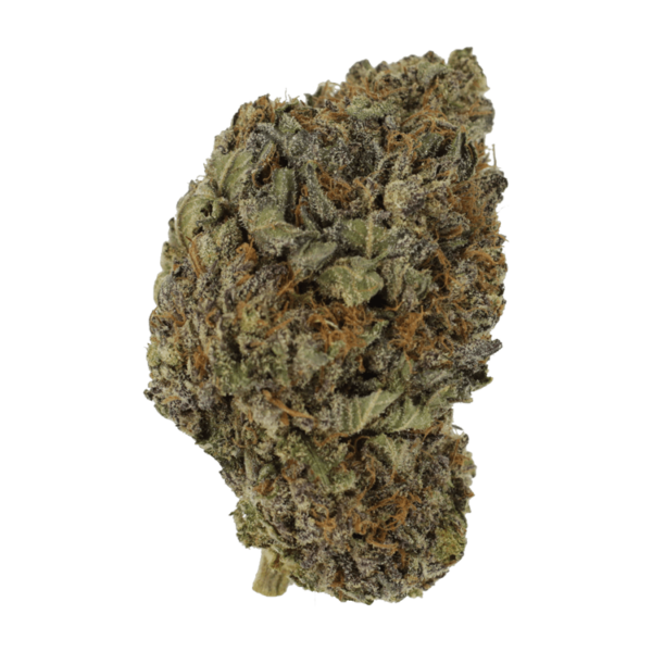 Black Diamond | Herbal Dispatch Canada