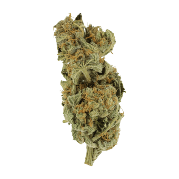 Gorilla Glue | Herbal Dispatch Canada