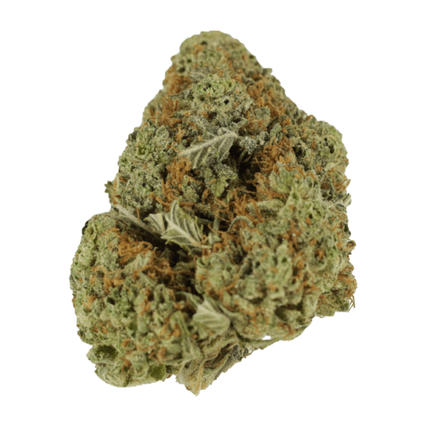 Mataro Blue – 1 ounce | Herbal Dispatch Canada