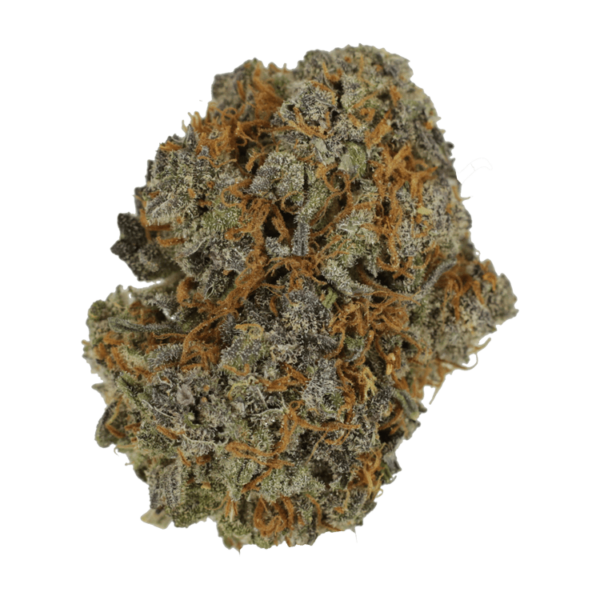 Jack Herer 1 Ounce | Herbal Dispatch Canada