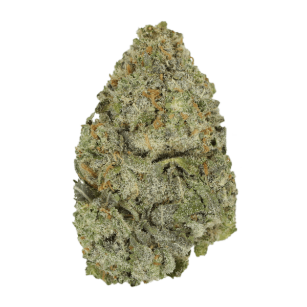 Lemon Meringu- | Herbal Dispatch Canada