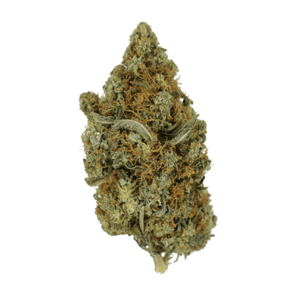 Jack Herer 1 Ounce | Herbal Dispatch Canada