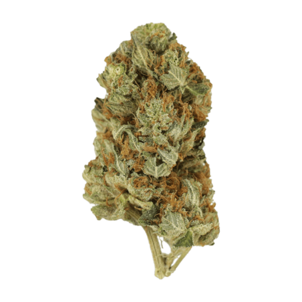 Jet Fuel | Herbal Dispatch Canada