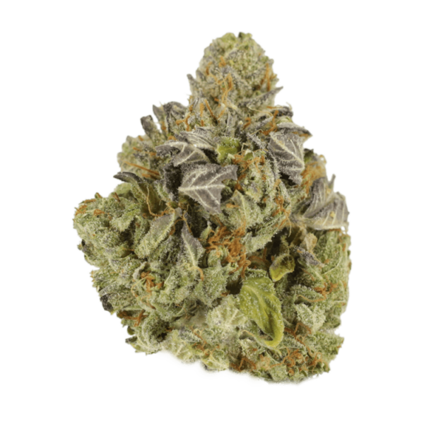 Jet Fuel | Herbal Dispatch Canada