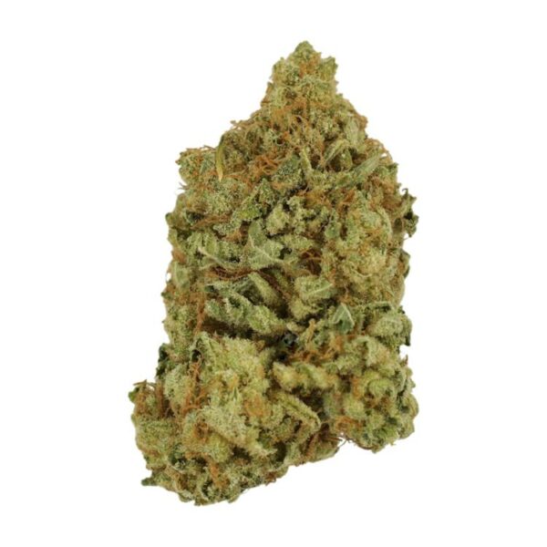 Blueberry | Herbal Dispatch Canada