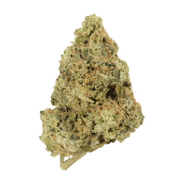 Zombie OG | Herbal Dispatch Canada