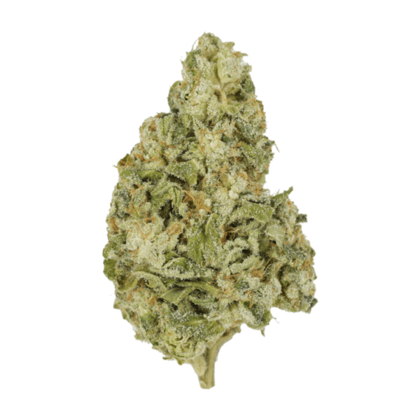 Zombie OG | Herbal Dispatch Canada