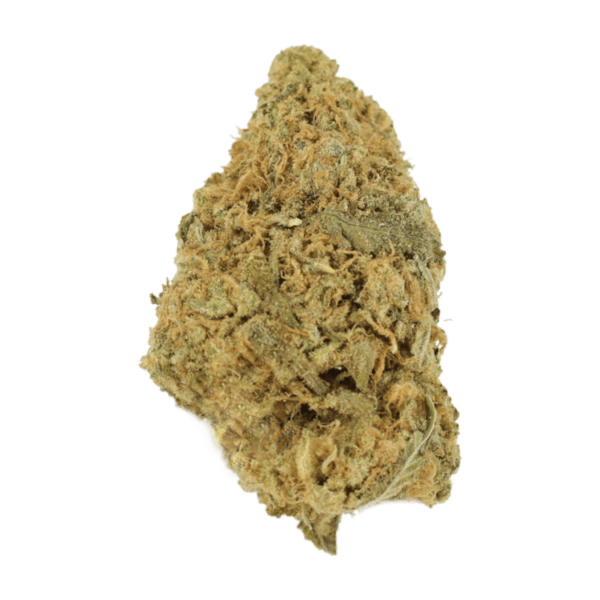 Zombie OG | Herbal Dispatch Canada