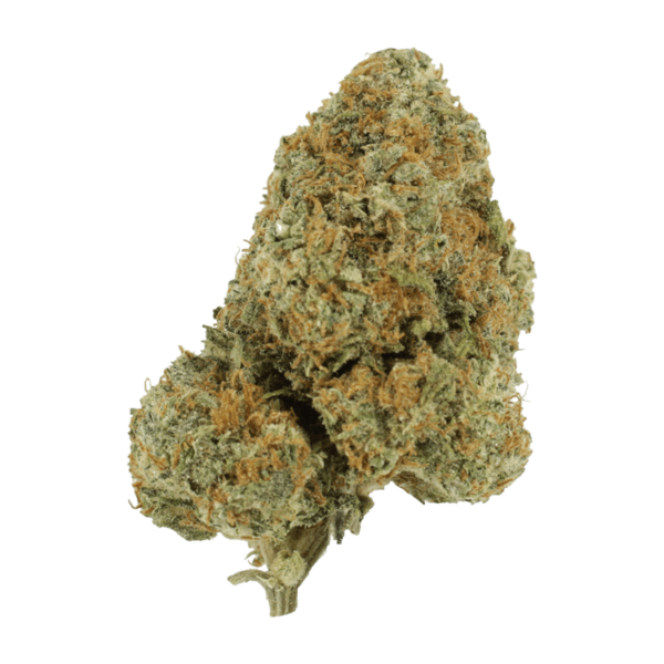 Blue Rhino | Herbal Dispatch Canada