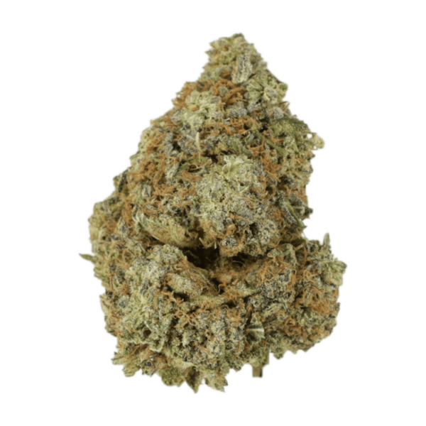 Granddaddy Purple | Herbal Dispatch Canada