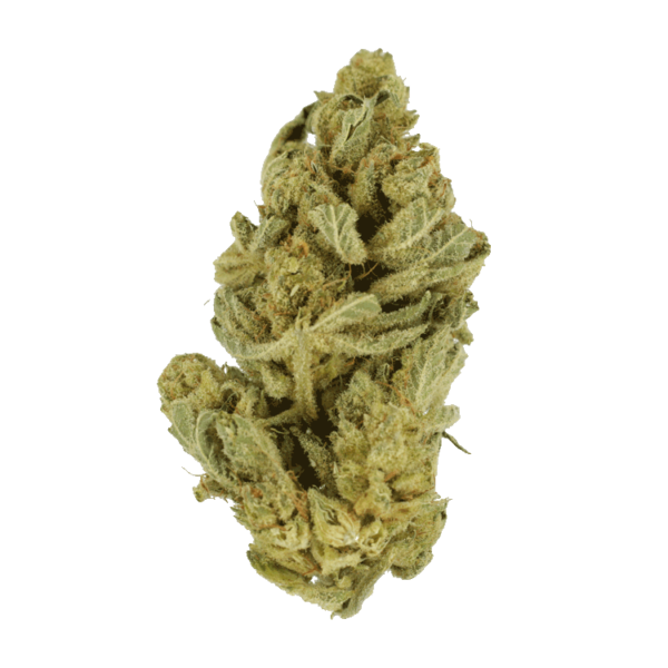 Hindu Kush – 7g | Herbal Dispatch Canada