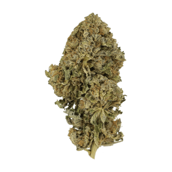 Durban Poison | Herbal Dispatch Canada