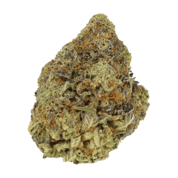 Durban Poison | Herbal Dispatch Canada