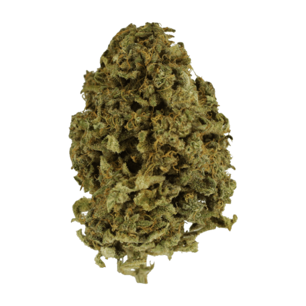 Nebula | Herbal Dispatch Canada