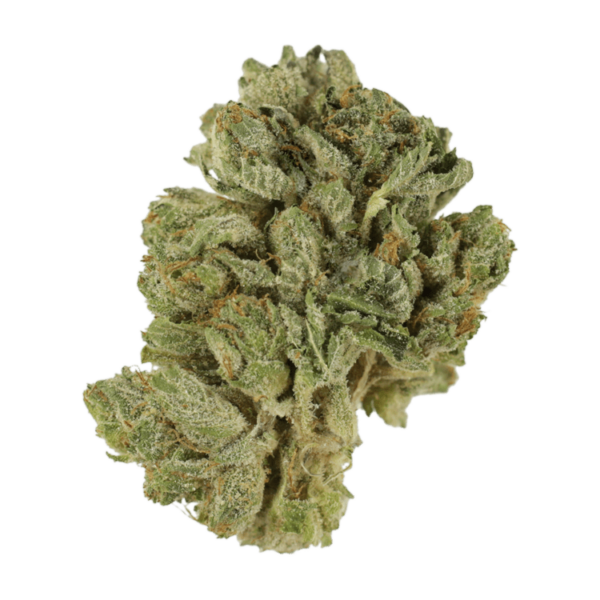 Northern Lights 2 for $69 | Herbal Dispatch Canada