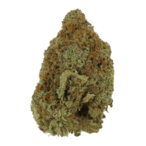 Mango Haze | Herbal Dispatch Canada