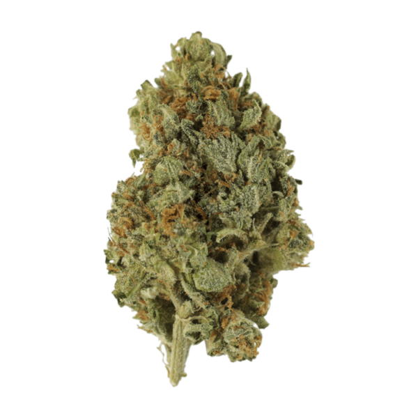 Sugar Cookies | Herbal Dispatch Canada