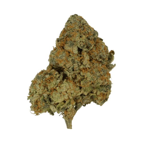 9lb Hammer | Herbal Dispatch Canada