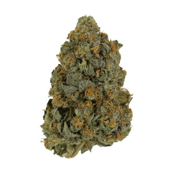 Skunkberry – 1 ounce | Herbal Dispatch Canada