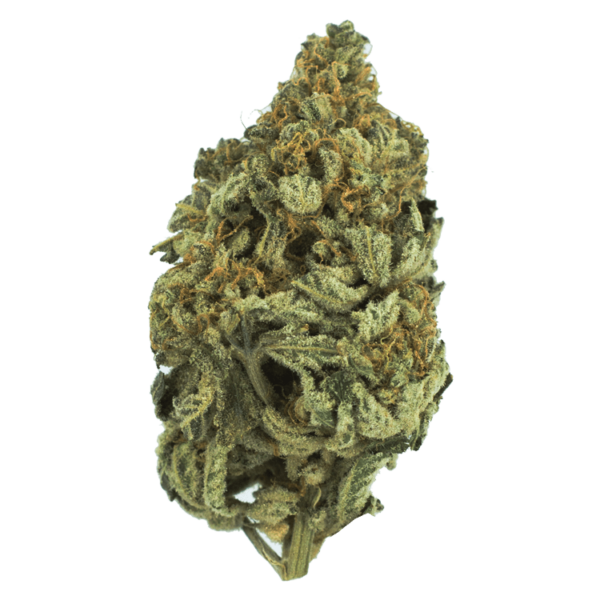Bakerstreet | Herbal Dispatch Canada