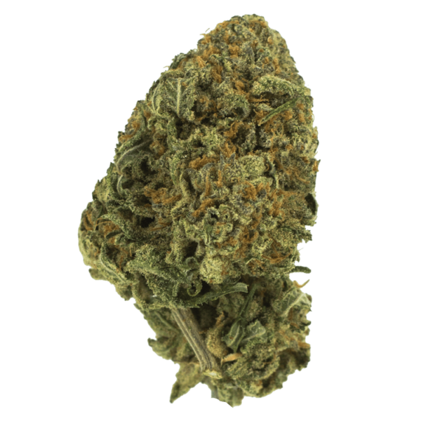 Black Nuken | Herbal Dispatch Canada