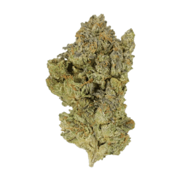 Golden Goat | Herbal Dispatch Canada