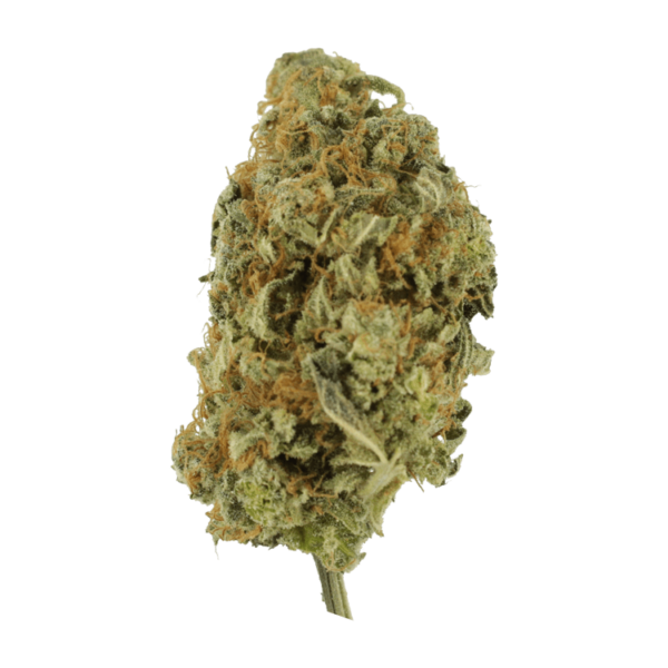 Lollypop – 1 ounce | Herbal Dispatch Canada