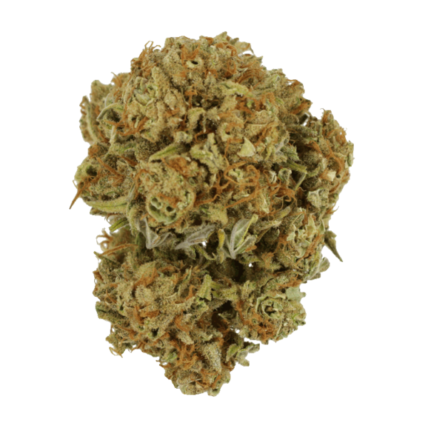 Maui Wowie | Herbal Dispatch Canada