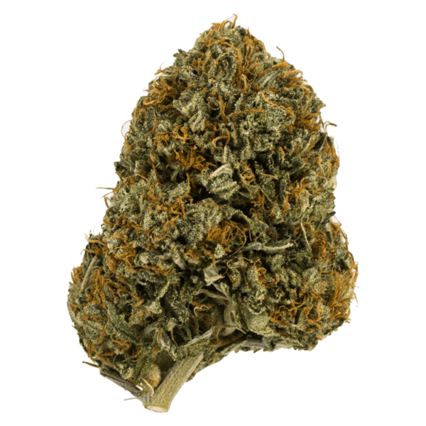 Wifi OG – 1 ounce | Herbal Dispatch Canada