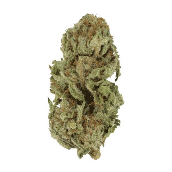 Golden Goat | Herbal Dispatch Canada