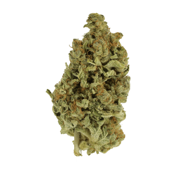 Cali Gold | Herbal Dispatch Canada