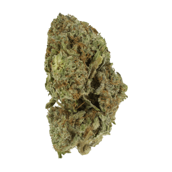 Gelato Sorbet – 1 ounce | Herbal Dispatch Canada