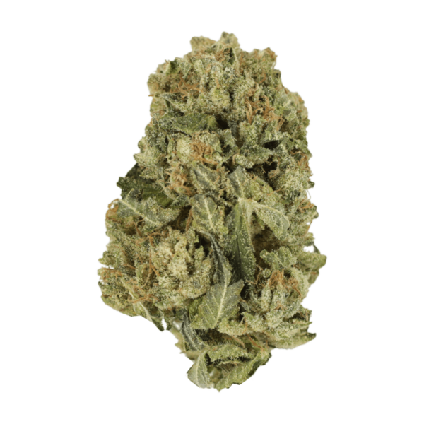 Black Domina | Herbal Dispatch Canada