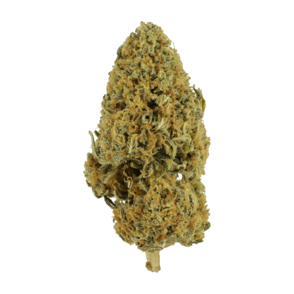 Grapefruit – 1 ounce | Herbal Dispatch Canada