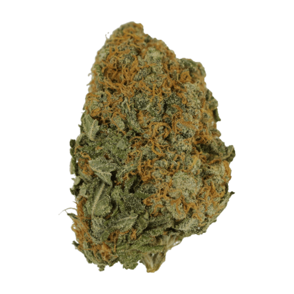 Master Kush Ultra | Herbal Dispatch Canada