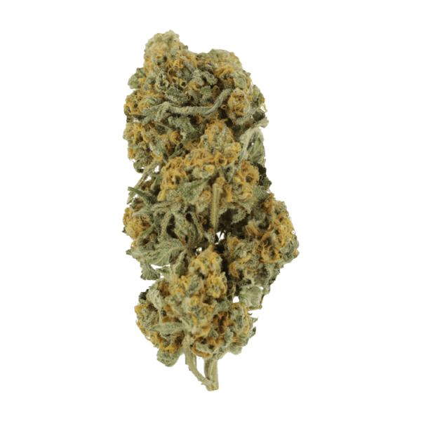 Miracle Alien Cookies | Herbal Dispatch Canada