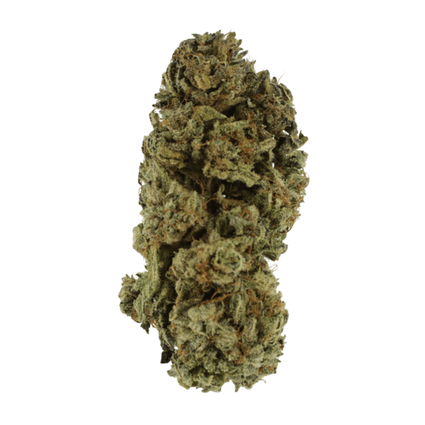 Black Kush – 1 ounce | Herbal Dispatch Canada