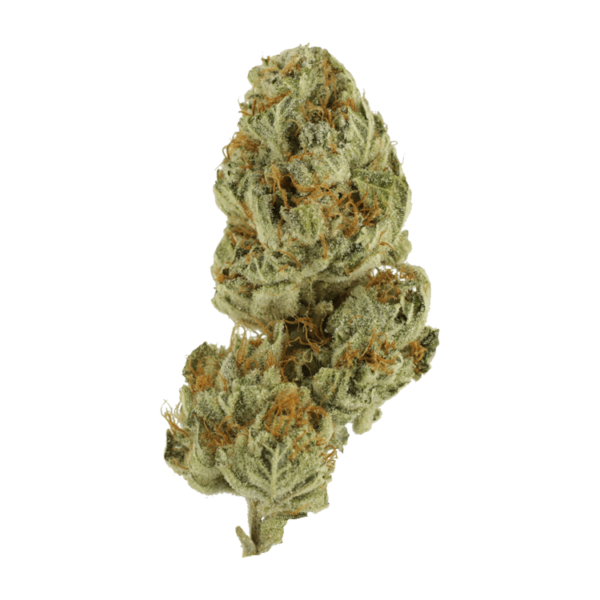 Strawberry Glue | Herbal Dispatch Canada