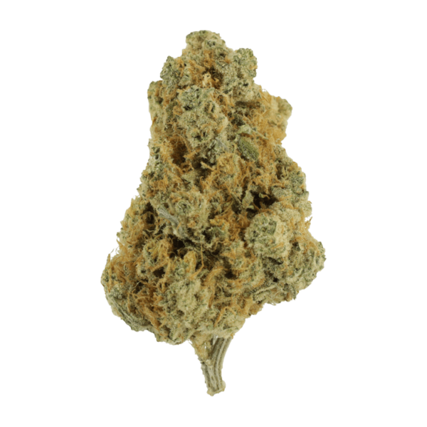 White Cookies – 1 ounce | Herbal Dispatch Canada