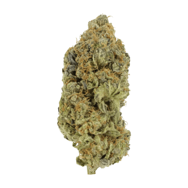 Critical Widow | Herbal Dispatch Canada