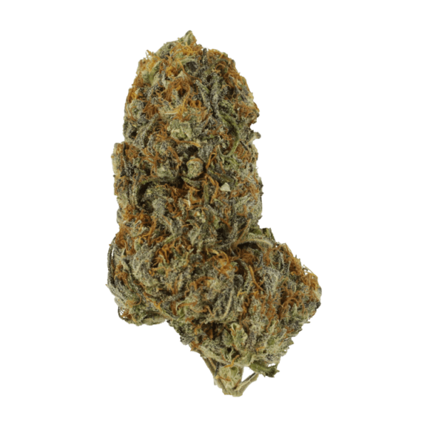 Dojaberry | Herbal Dispatch Canada