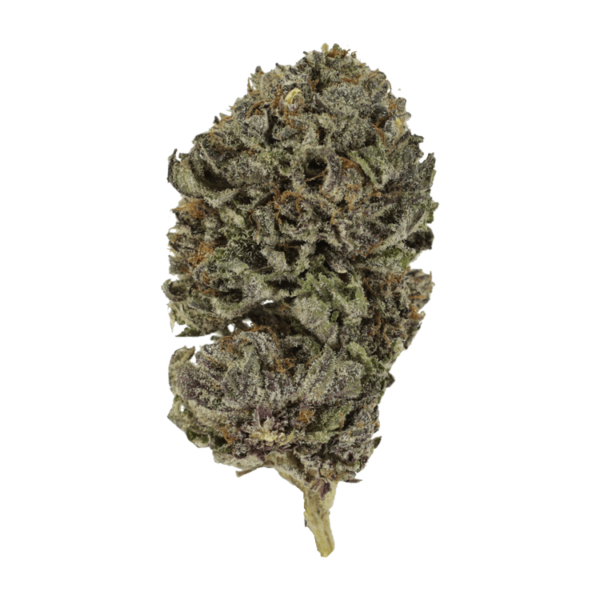 Purple Skunk | Herbal Dispatch Canada